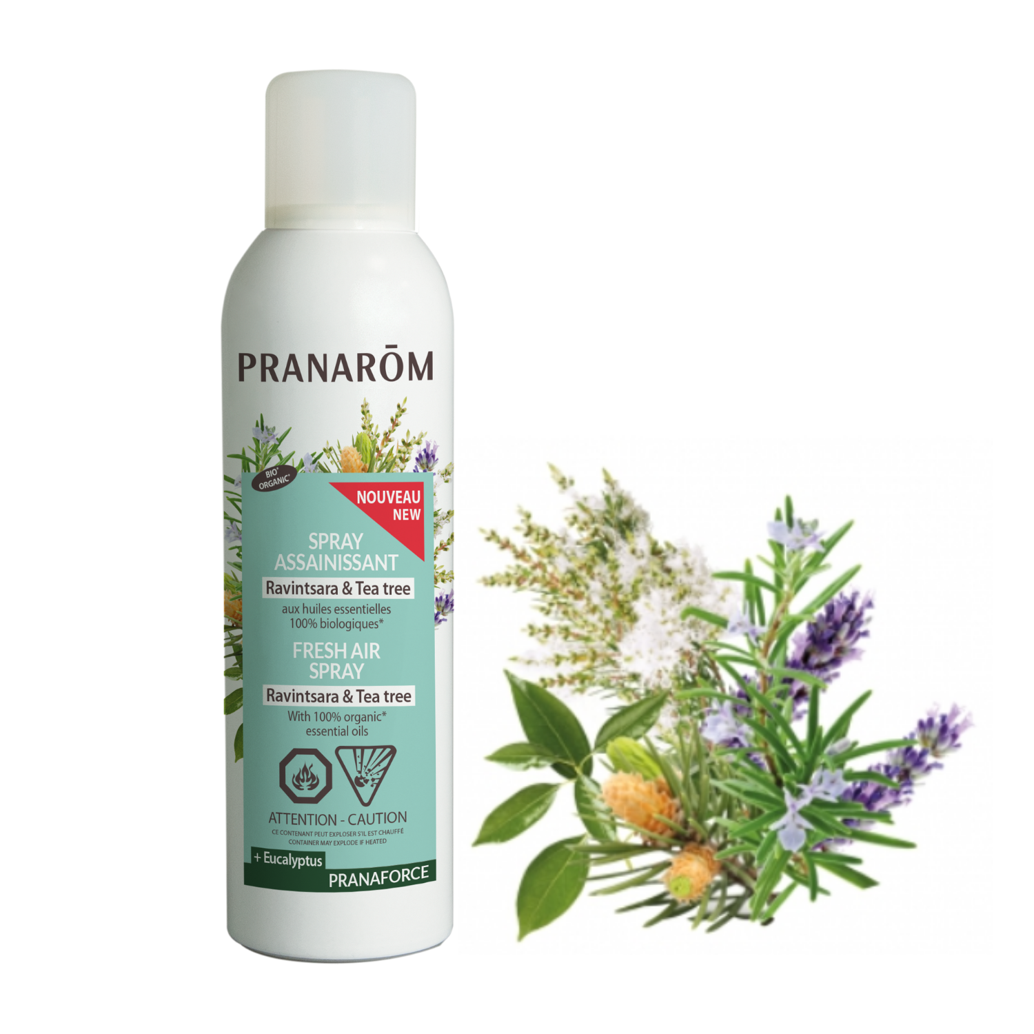 Spray Ravintsara Tea tree – Thinkifit